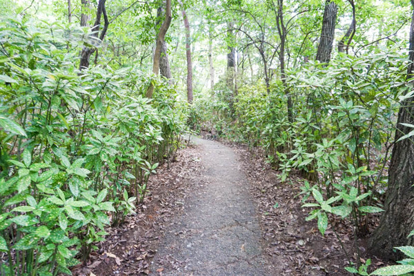 耳原公園-2022080455