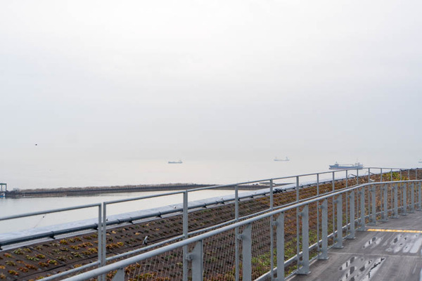 万博20250228160150