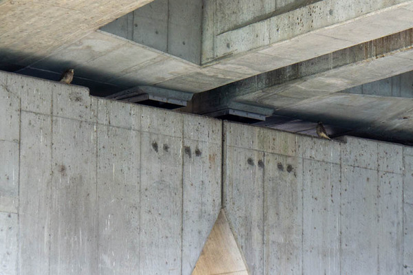 はやぶさ20210624170200