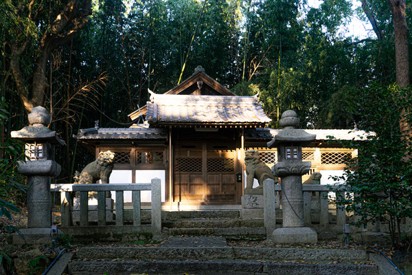 神社1-2012223