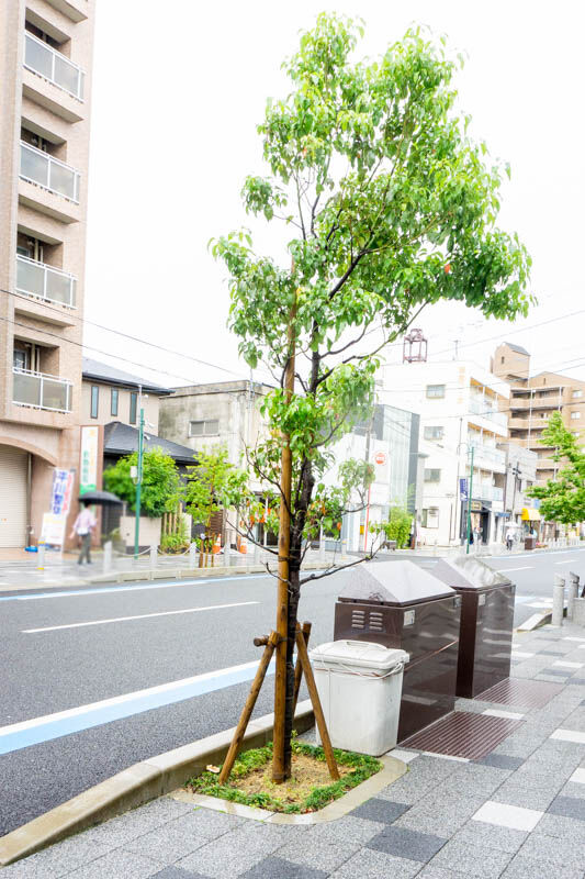 きのこ富田町-202105213