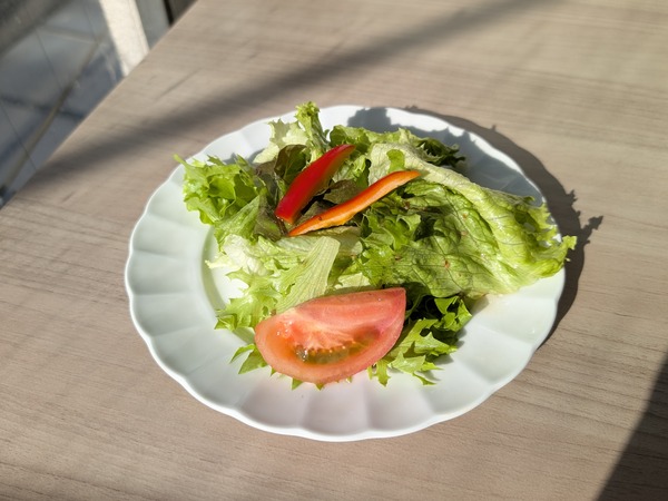 PXL_20251205_040418398