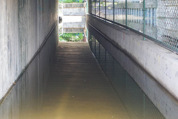 アンダーパス-202205234