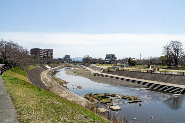 芥川桜堤公園20230323001434