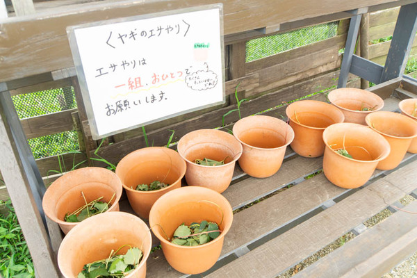 THEFARM20230822105344