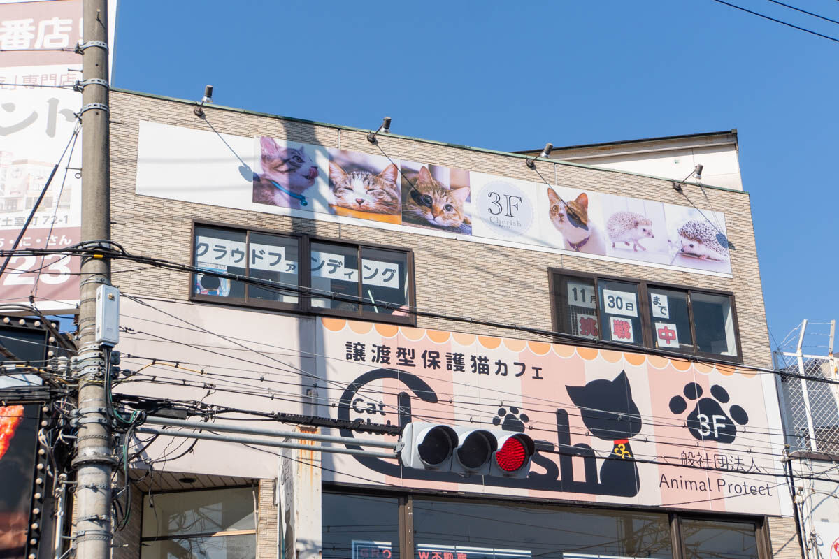 当時のメディア報道・掲載写真