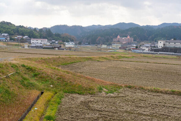 高槻出身「村上信五」が樫田で高槻産ブドウの開発をするみたい