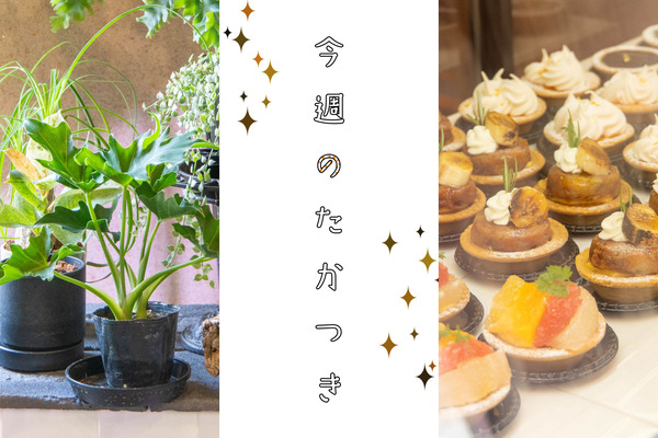 今週のたかつき2024