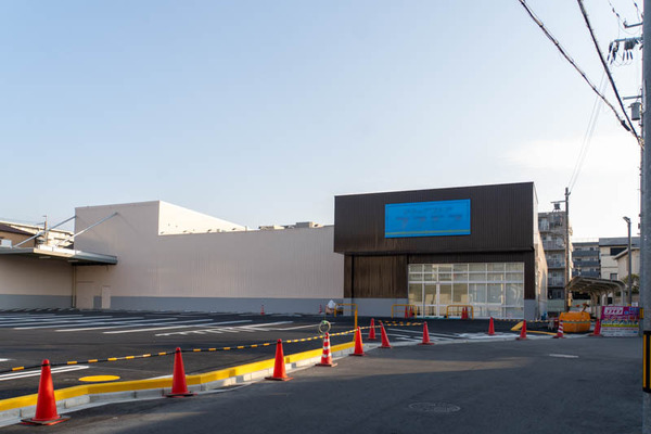 コスモス20260119150705