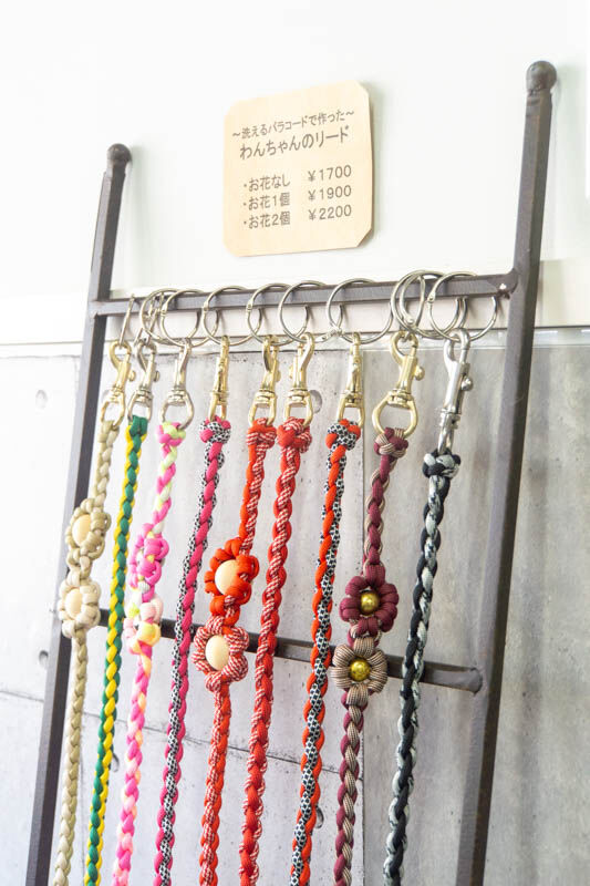 ドッグサロン20230919110442