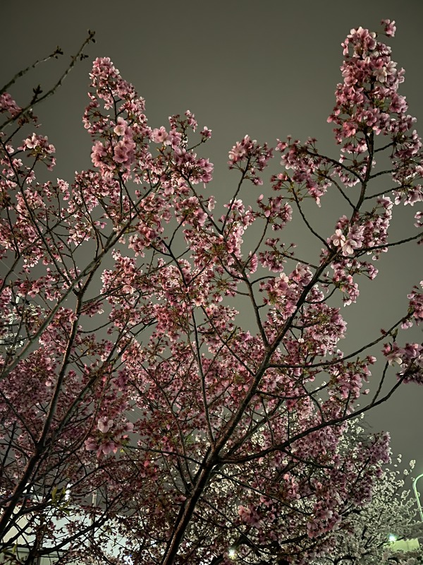 5D552112-9B01-4DFB-8AB5-7FF5F8C0C5C0