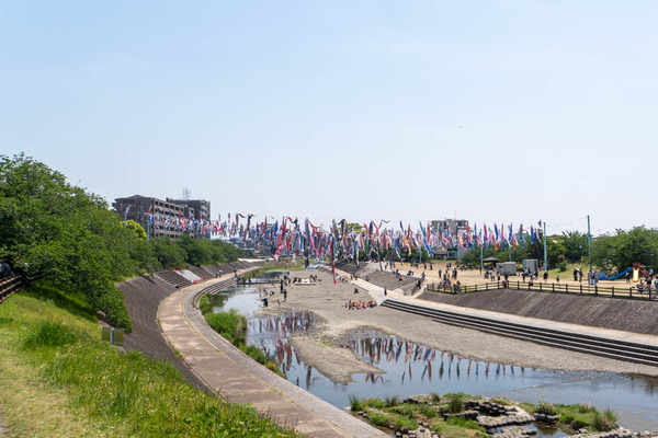 鯉のぼり20250430114513