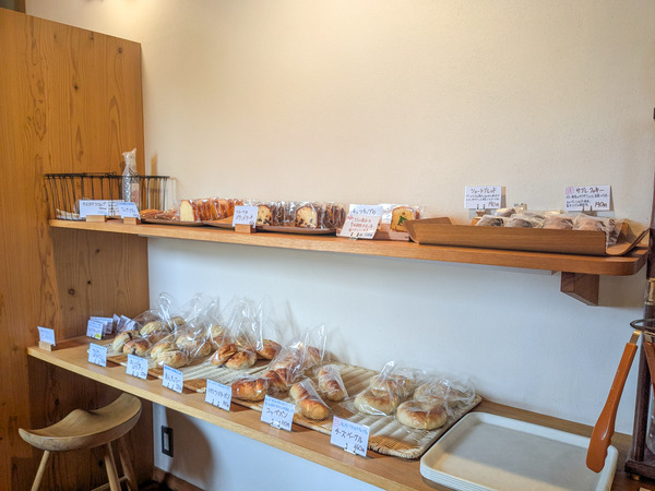 PXL_20250307_030902409