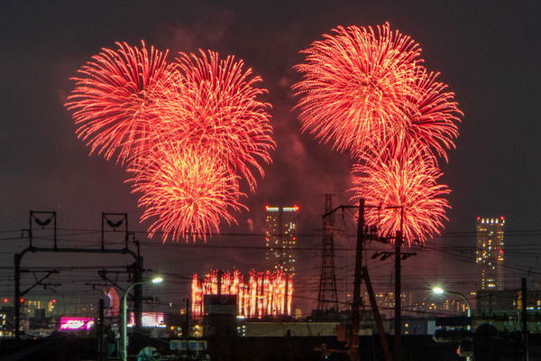 花火20241123190028