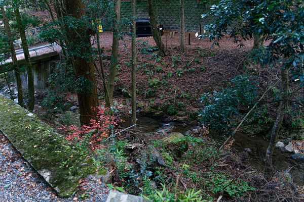-素盞嗚神社-2012118