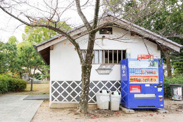 高槻城公園-2021112341