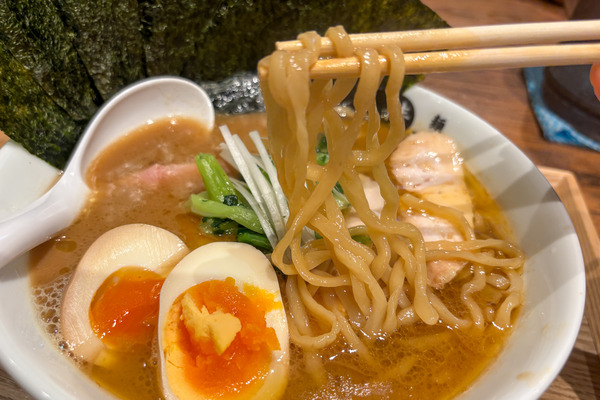 麺や晴斗 グルメ9