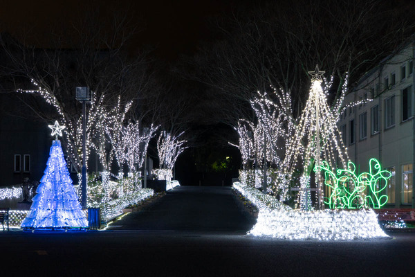 平安イルミ20231214183541