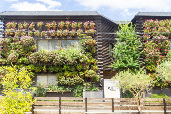 THEFARM20230822111726