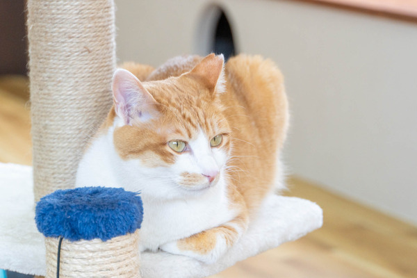 cherish20240417113833