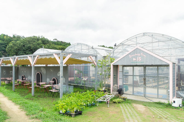 THEFARM20230822103909