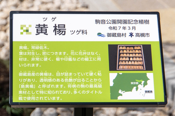 駒音公園20250318110652