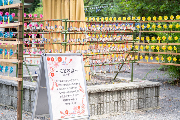 言の葉-2407091
