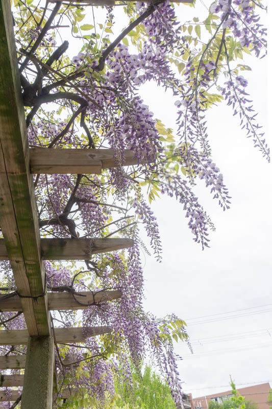 2021041620210416104204