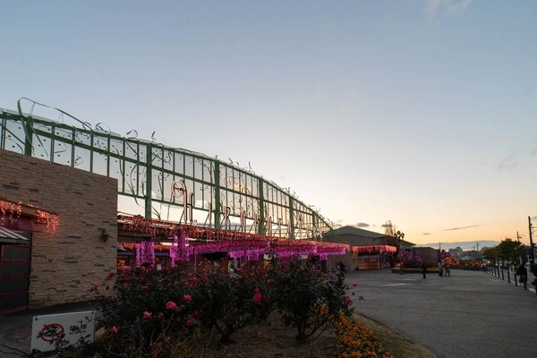 f3aedec0da5884c80f139deb691178c7