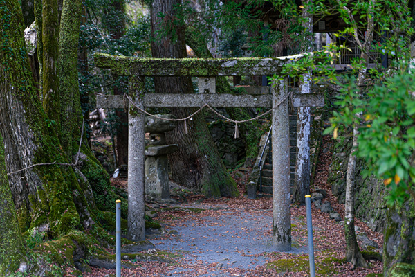 -素盞嗚神社-2012111