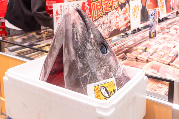 ロピア20250526084041