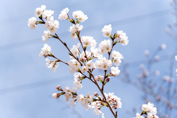 あくあぴあ20250331114054