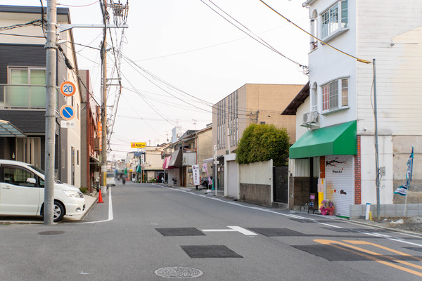 さくら20250416172446