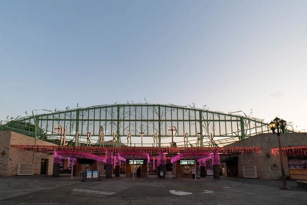 dcfb8978d6c398eccc31e82c87fd3e7e