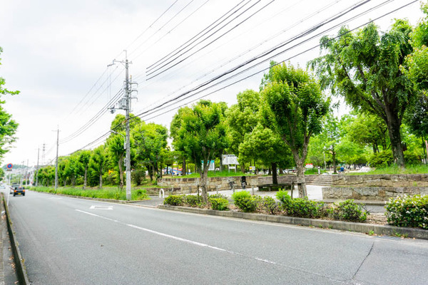 緑ヶ丘公園-2021051620