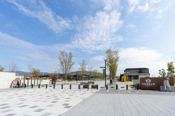 c319ff43-s
