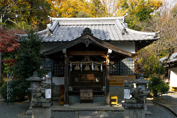 日吉神社-2012117