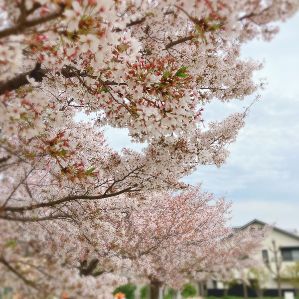 7CF5CAA4-0537-4A2E-B2E1-4903431FC2D3