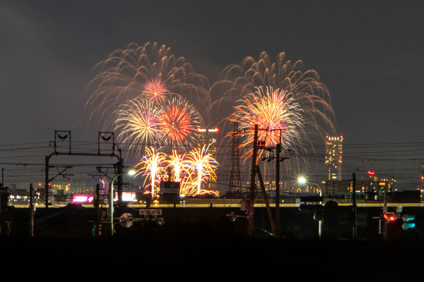 花火20241123190144