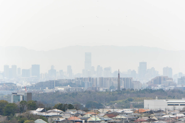 安威川ダム20240402123919