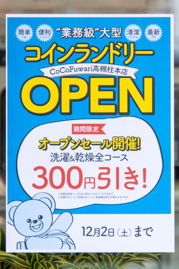 cocofuwari20231128120640
