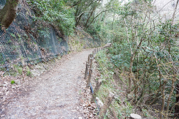 摂津峡公園-20230321105