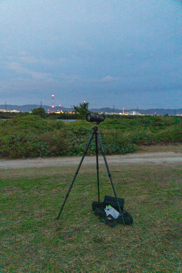 花火-2411101