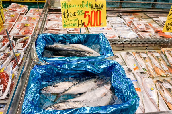 たこ一4-202112142