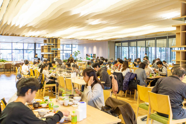 太陽ファルマティック20221123131407