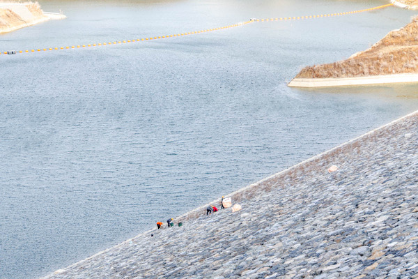 安威川ダム20240202131728