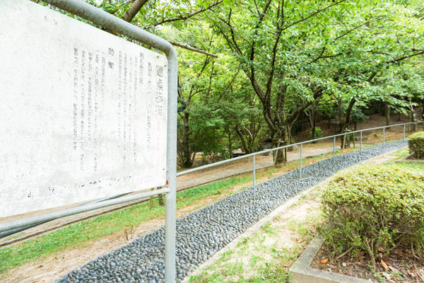 耳原公園-2022080436