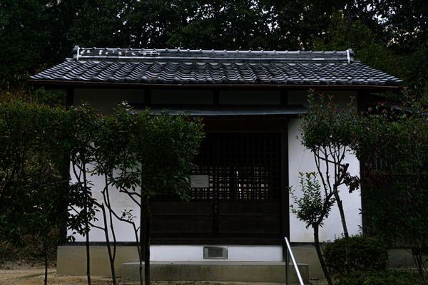 神社-20122412