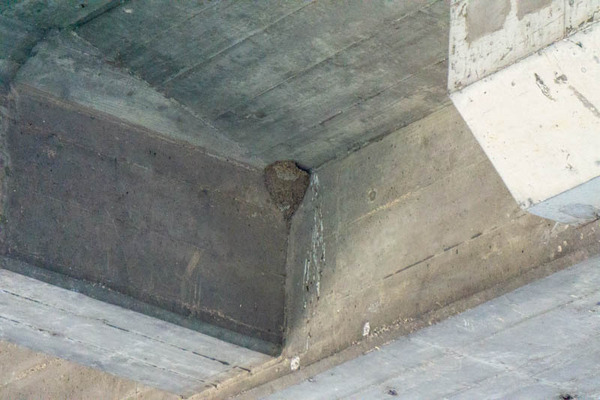 はやぶさ20210624170542