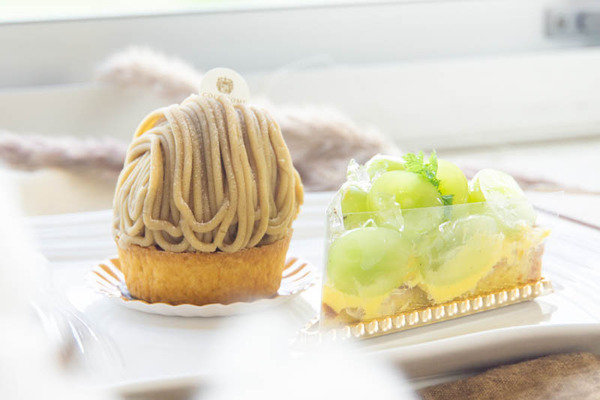 ここのみ20230918125650